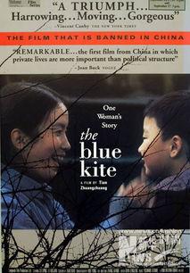 电影蓝风筝在线观看,穿越历史的长空